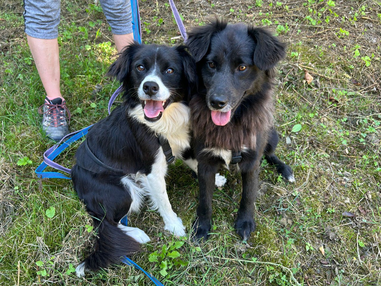 Peppino e Camilla